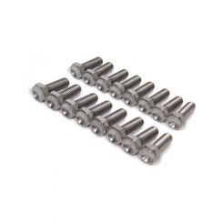 Ti22 Performance Beadlock Bolt Kit 5/16-18 in Thread 1 in Long Hex He