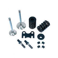 Dart Cylinder Head Parts 2.05/1.60 in Stainless Valves 1.437 in Dual