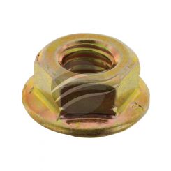 Champion Hex Flange Nuts M6 X 1.00M Pack Of 50