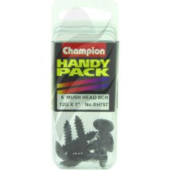 Champion Blister Handy Pack Self Tapping Screw