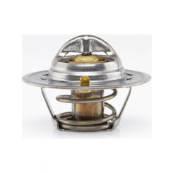 Tridon Thermostat