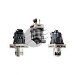 AFI EGR Valve