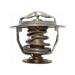 Dayco Thermostat