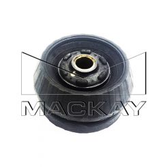 Mackay Strut Mount Front