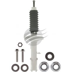 Aunger Strut Front RH Side Commodore VZ Wl Sedan Wagon & Ute Standard