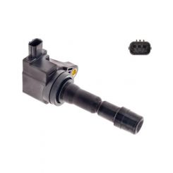 AFI Ignition Coil On Plug