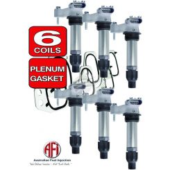 AFI Ignition Coil VE V6 Commodore 6 X Ignition Coils & Intake