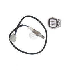 AFI Oxygen Sensor
