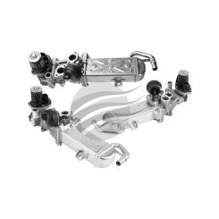 BorgWarner EGR Valve And Cooler VW Audi Skoda Seat