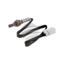 AFI Oxygen Sensor