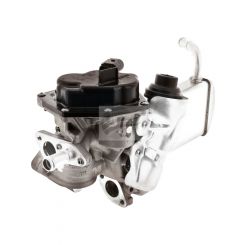 Valeo EGR Valve And Cooler VW Amarok 2.0L Cdca 09/2010 ~ 10/2013