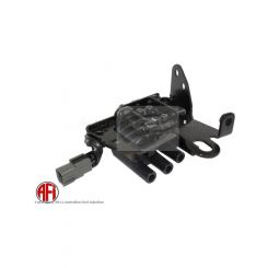 AFI Ignition Coil Pack