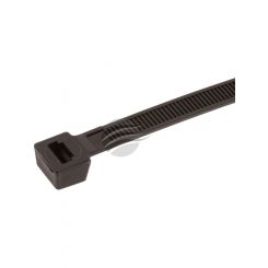 Carroll Pack 100 Nylon Cable Tie