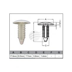 Jaylec Pack 10 Automotive Fastener Gm White Plastic