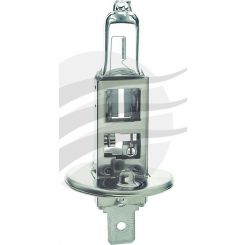 Hella H1 Halogen Globe 12V 55W +50% Premium Xenon Blister Pack