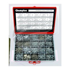 Champion Self Tapping Screw Assortment