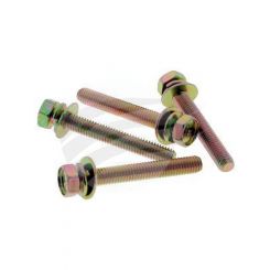 Jayair Pack 100 M6 X 45 Bolt