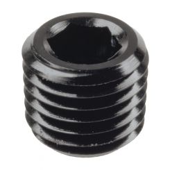 Raceworks Npt Plug 1/16''