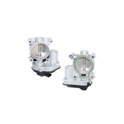 AFI Throttle Body Assembly