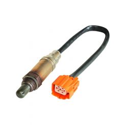 Bosch Cold Start Valve
