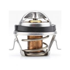 Tridon Thermostat