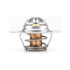 Tridon Thermostat