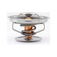 Tridon Thermostat
