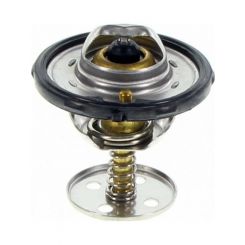 Dayco Thermostat