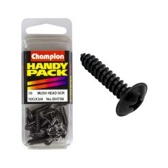 Champion Self Tapping Phillips Screws 4.8mm x 19mm Black Pack of 10