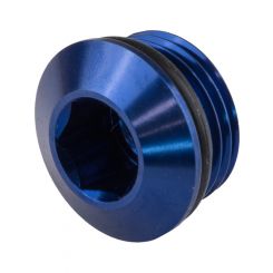 Proflow AN Port Plug, Low Profile Allen Key -12AN, Blue