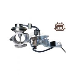 AFI EGR Valve