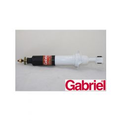 Gabriel Strut Front