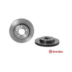 Brembo Disc Brake Rotor (Single) 303mm