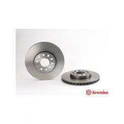 Brembo Disc Brake Rotor (Single) 288mm