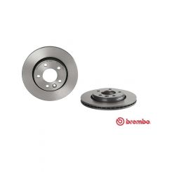 Brembo Disc Brake Rotor (Single) 294mm