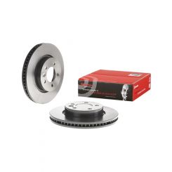 Brembo Disc Brake Rotor (Single) 317mm