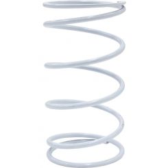 Aeroflow Wastegate White Middle Spring