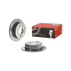 Brembo Disc Brake Rotor (Single) 262mm