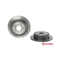 Brembo Disc Brake Rotor (Single) 316mm