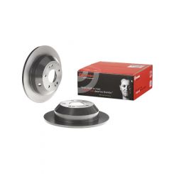 Brembo Disc Brake Rotor (Single) 302mm
