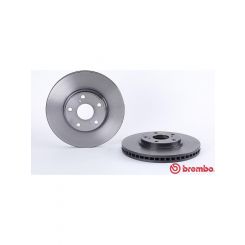 Brembo Disc Brake Rotor (Single) 296mm