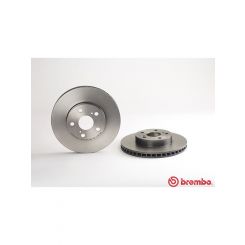 Brembo Disc Brake Rotor (Single) 255mm
