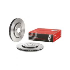 Brembo Disc Brake Rotor (Single) 320mm
