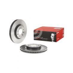 Brembo Disc Brake Rotor (Single) 296mm