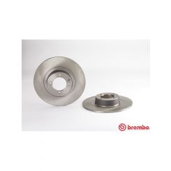 Brembo Disc Brake Rotor (Single) 273mm