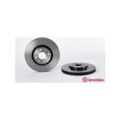 Brembo Disc Brake Rotor (Single) 281mm