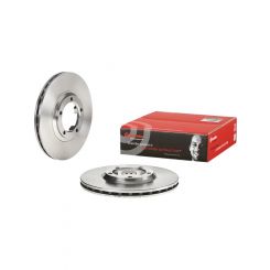 Brembo Disc Brake Rotor (Single) 255mm