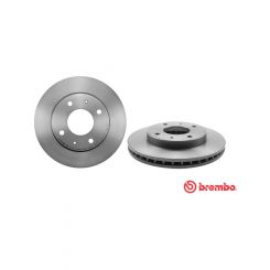 Brembo Disc Brake Rotor (Single) 256mm