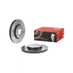 Brembo Disc Brake Rotor (Single) 257mm