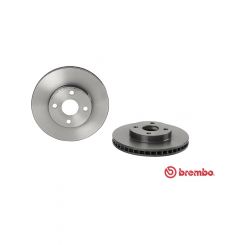 Brembo Disc Brake Rotor (Single) 255mm